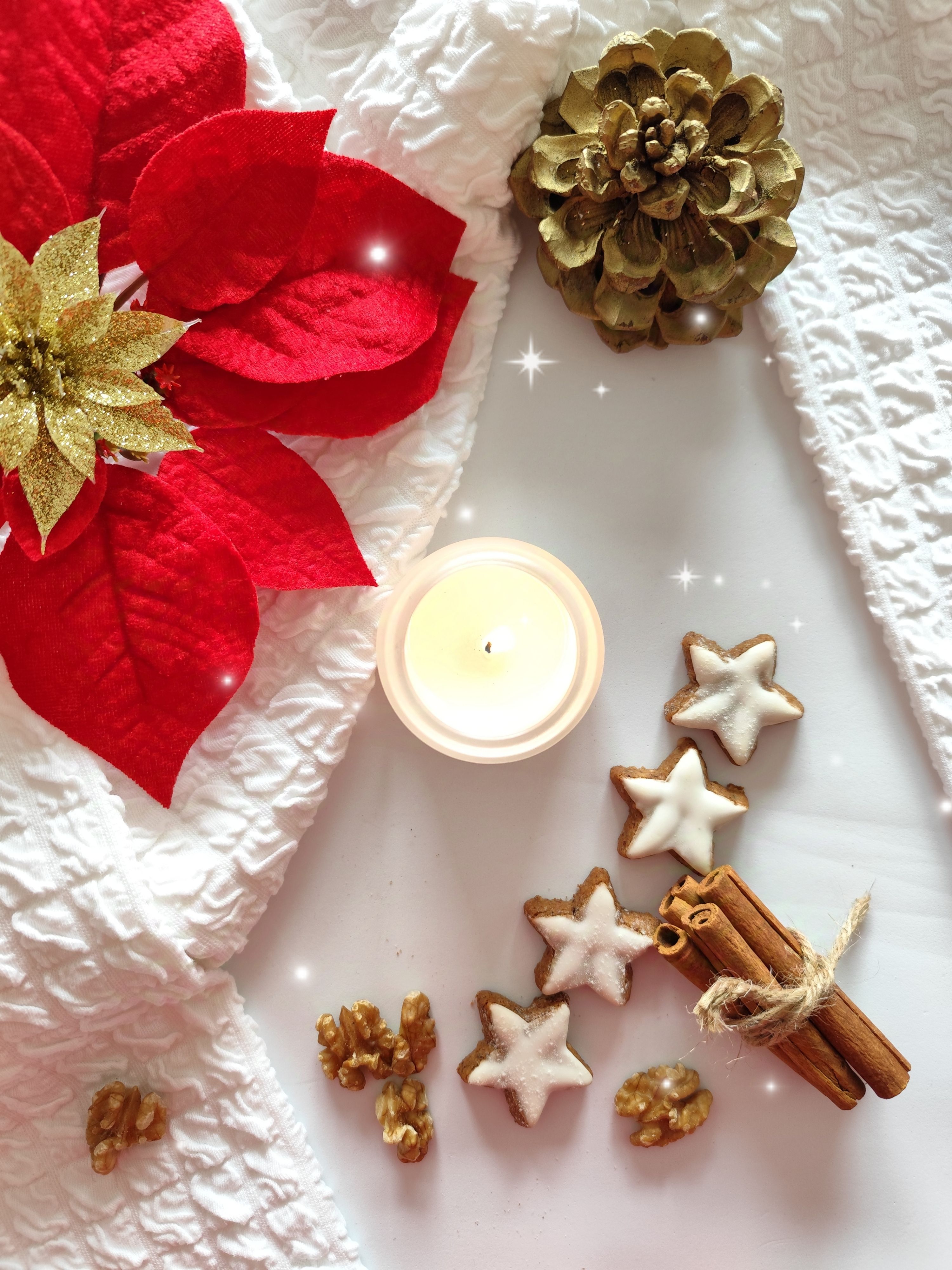 6.000+ Weihnachtsstern Bilder und Fotos  Kostenlos Downloaden  Pexels  Stock-Fotos