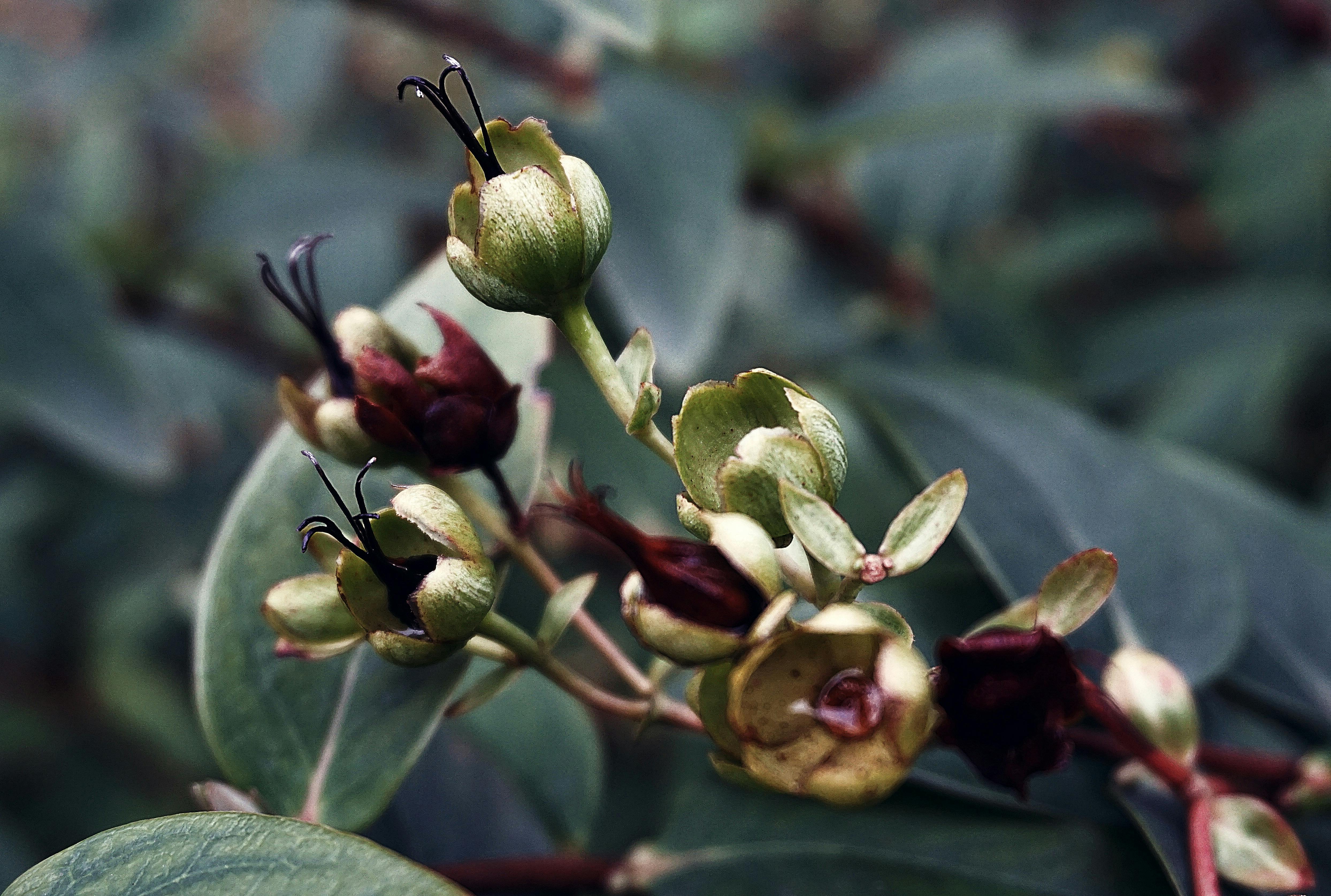 Free stock photo of autumn, autumn color, colors of autumn