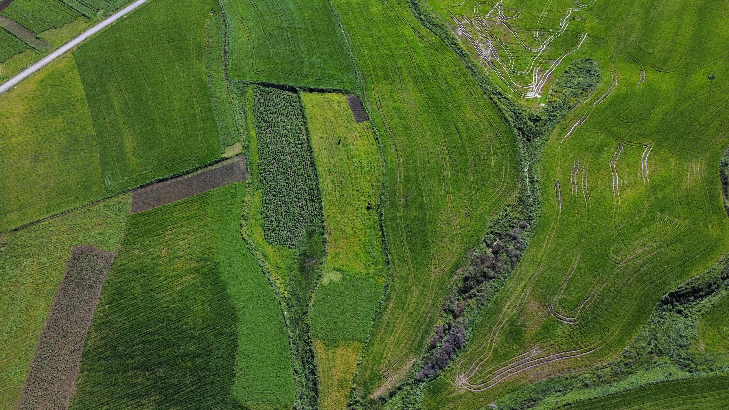 Aerial View of Lush Green Agricultural Fields · Free Stock Photo