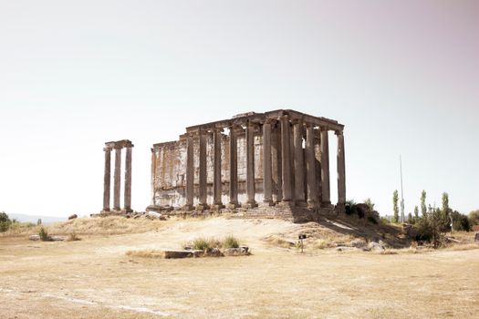 Palmyra, Syria photo 15