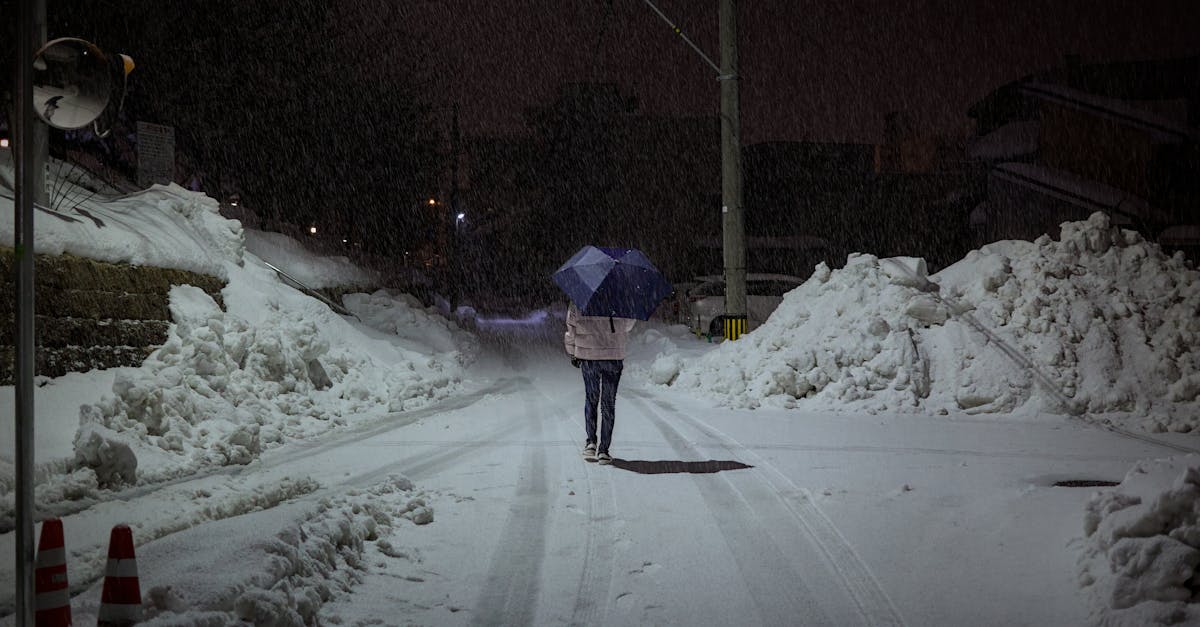 政治家與企業如何在生活成本危機中推動清潔能源與氣候行動