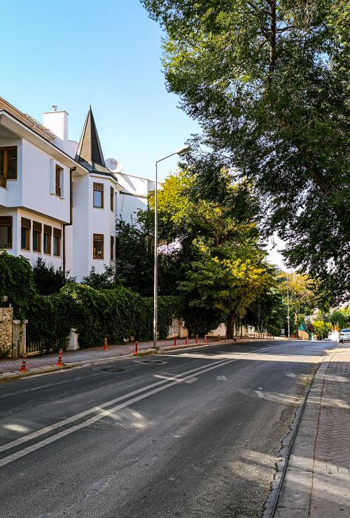 Free A peaceful residential street lined with modern houses and lush trees on a sunny day. Stock Photo
