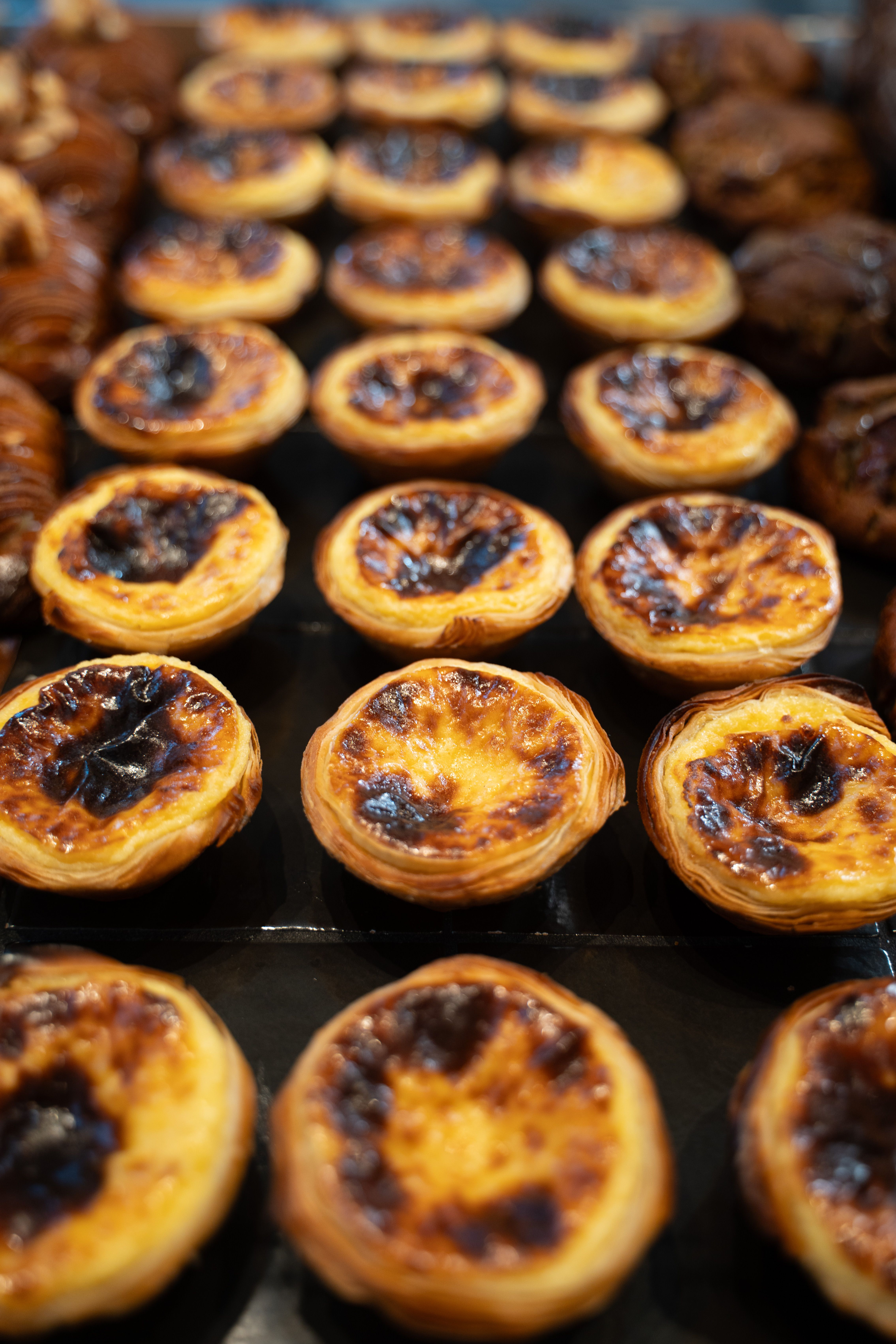 Gratis Deliziose crostate di crema portoghese in una panetteria di Berlino. Una delizia dolce perfetta. Foto a disposizione