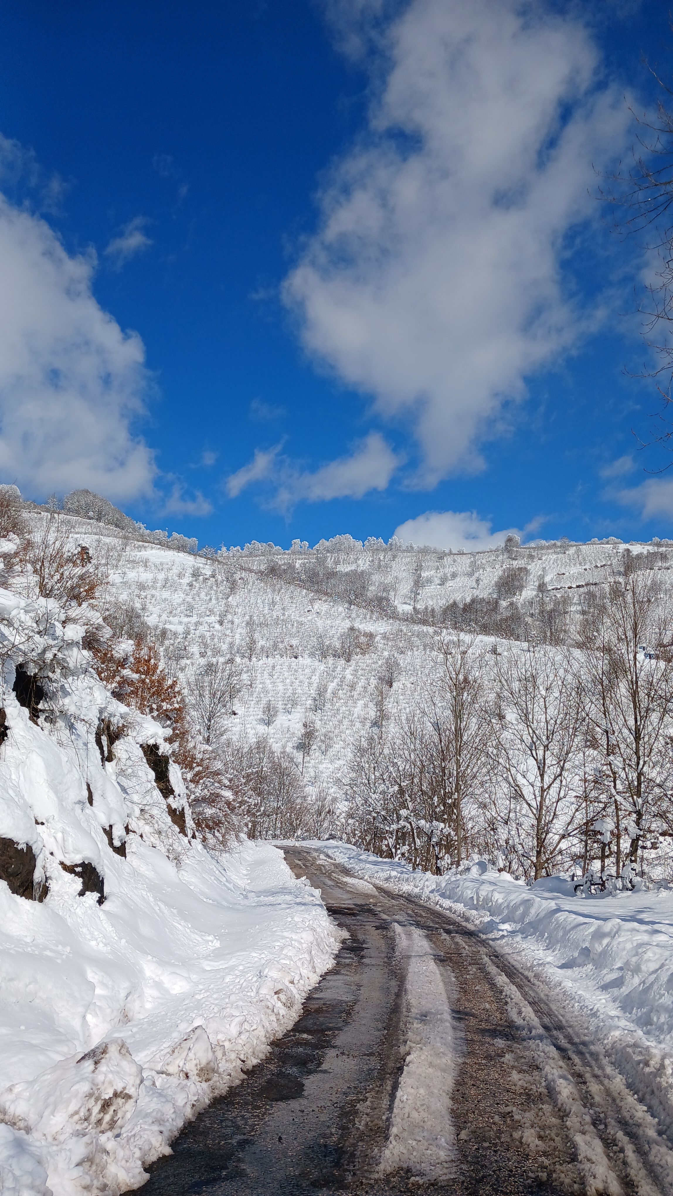 Scenic Snowy Mountain Road in Winter Landscape · Free Stock Photo