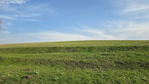 Free Wide green field under a clear blue sky near Bishkek, Kyrgyzstan, showcasing natural tranquility. Stock Photo