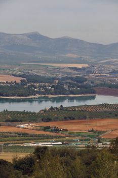 Picturesque landscape of Andalucía featuring lake, hills, fields, and olive groves in vibrant colors.