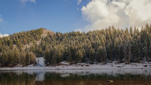 Free Capture of a serene snowy forest reflecting on a tranquil lake with clear skies. Stock Photo