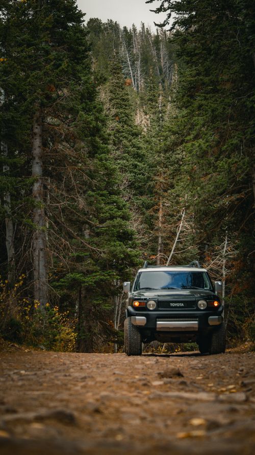 Free SUV on a rugged forest trail, showcasing adventurous off-road exploration. Stock Photo