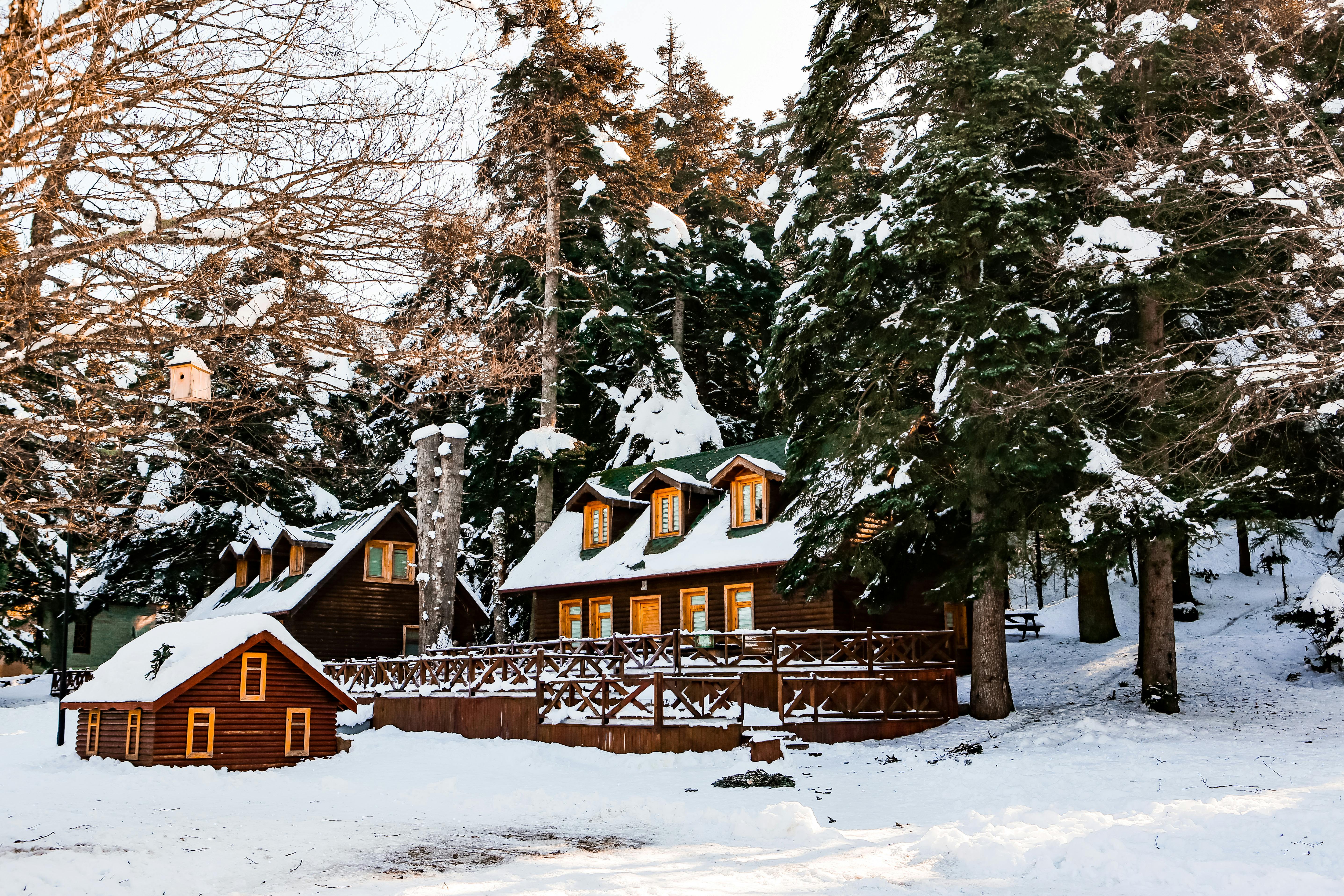lodging options — Photo by Hkn clk on Pexels