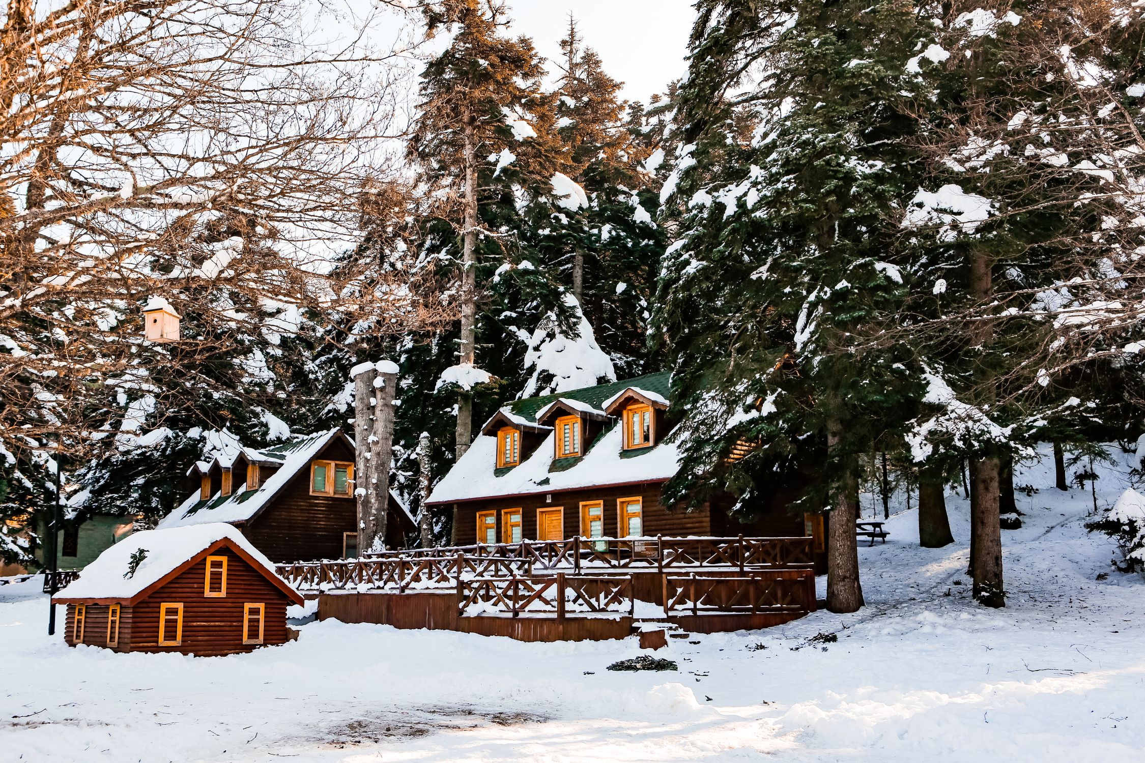Snow-covered wooden cabins in a serene forest setting, perfect for a winter getaway.