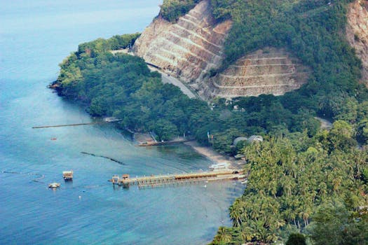 Aerial view of a lush coastal landscape in Banaybanay, Philippines.