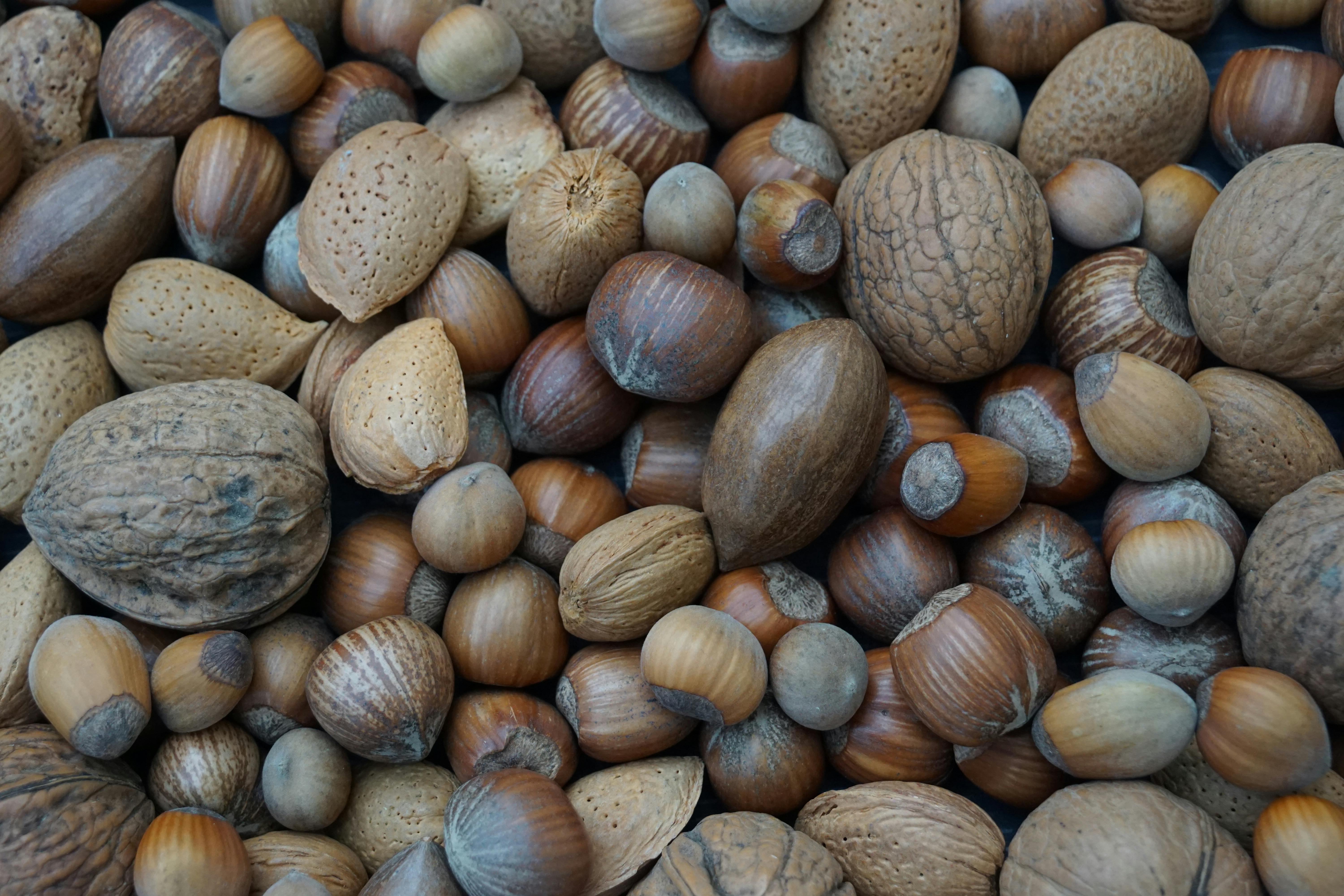 What Nuts Factory Actually Is — And Why "Color Sorting" Doesn't Tell the Full Story