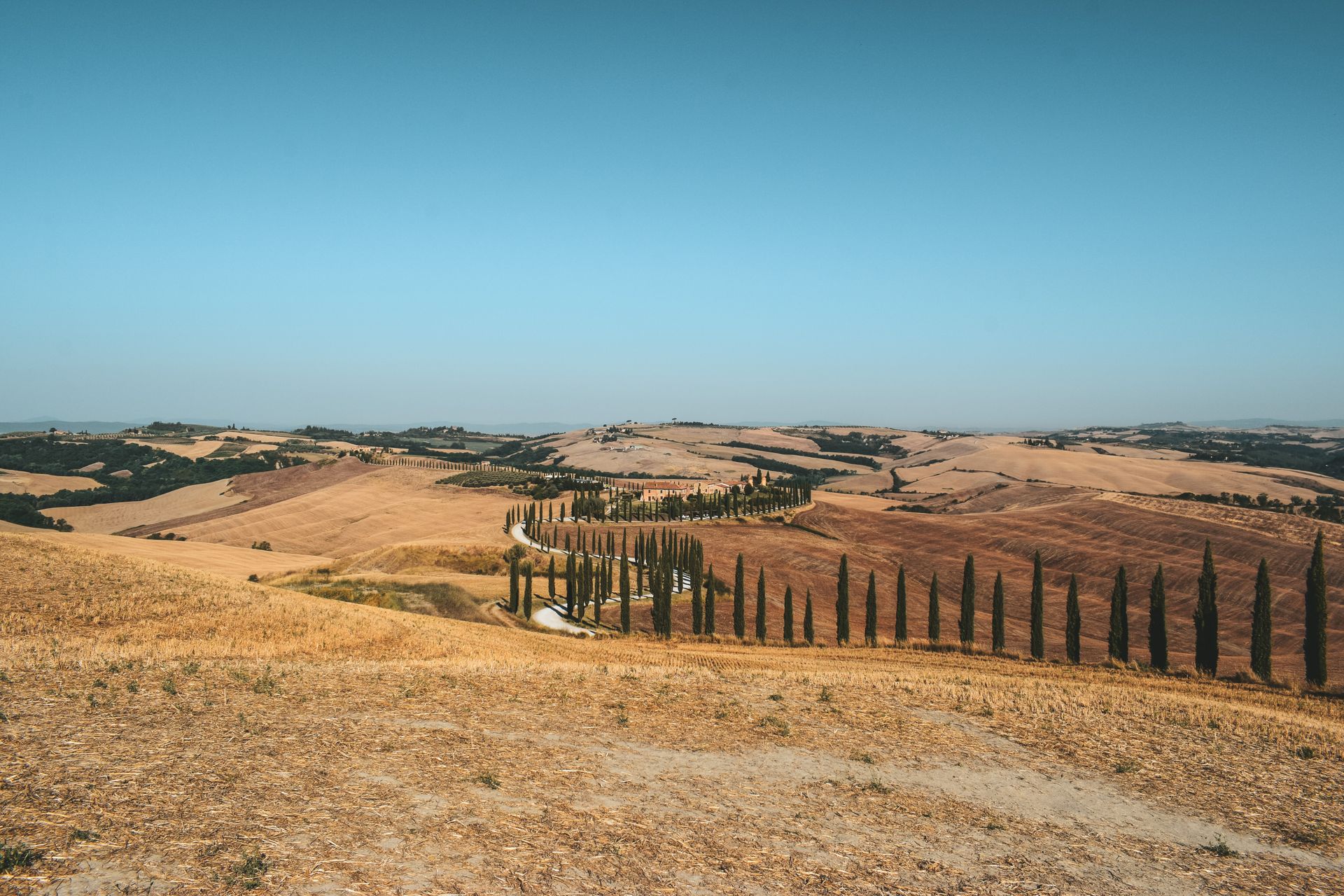 Picturesque Tuscan landscape featuring rolling hills and iconic cypress trees under a clear blue sky.