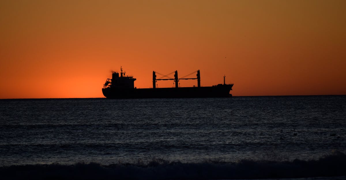 L'impact des expéditions sur l'environnement