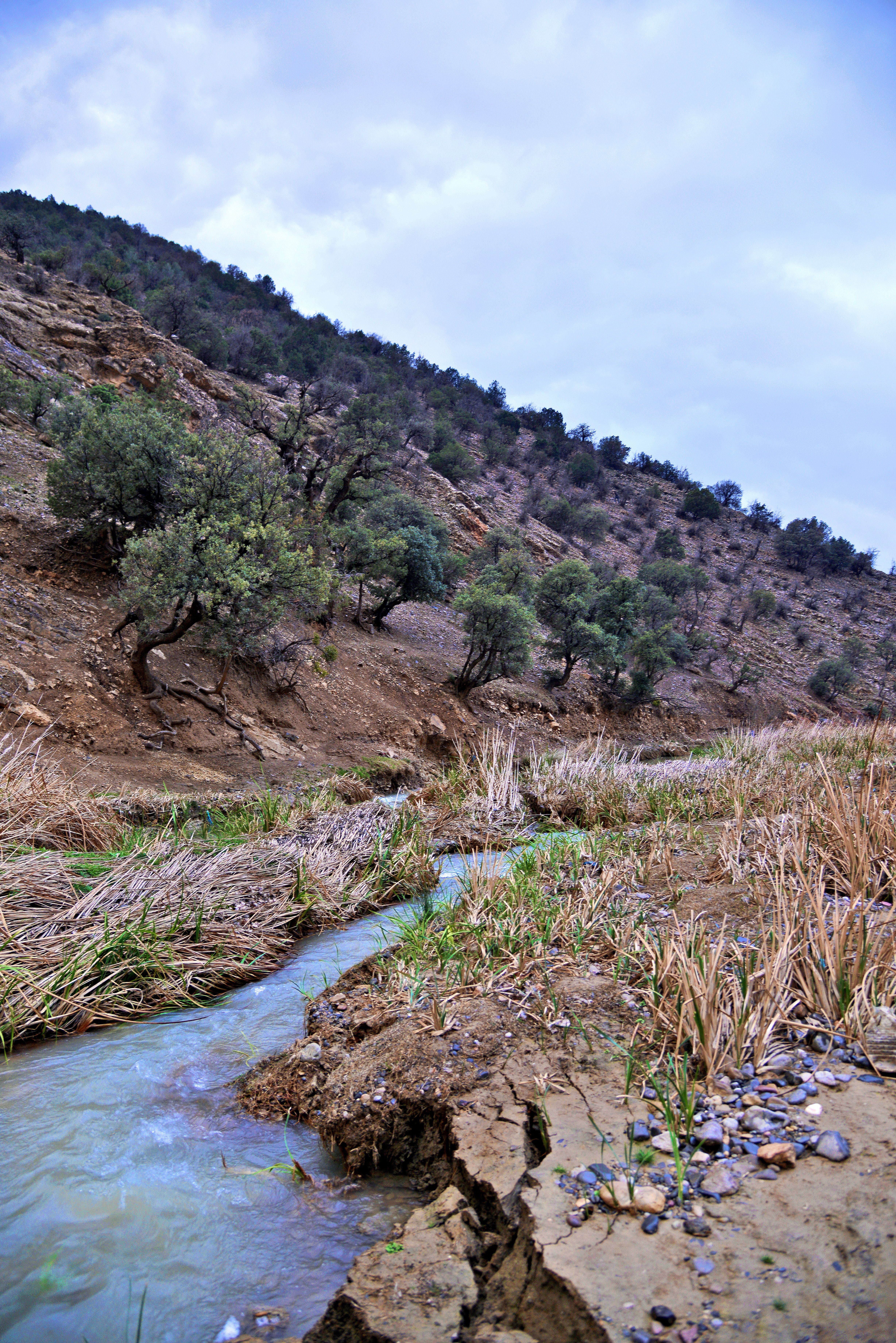 Tranquil stream flows through nature in Imouzzer Marmoucha, Morocco.
