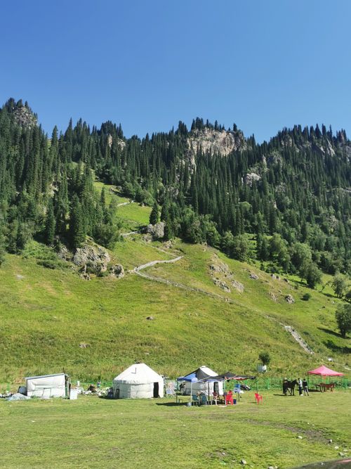 Free Scenic view of yurts nestled in the lush grasslands of Xinjiang, China beneath towering forested mountains. Stock Photo