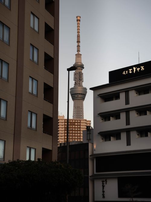 Free View of Tokyo Skytree between buildings during twilight, capturing urban architecture. Stock Photo