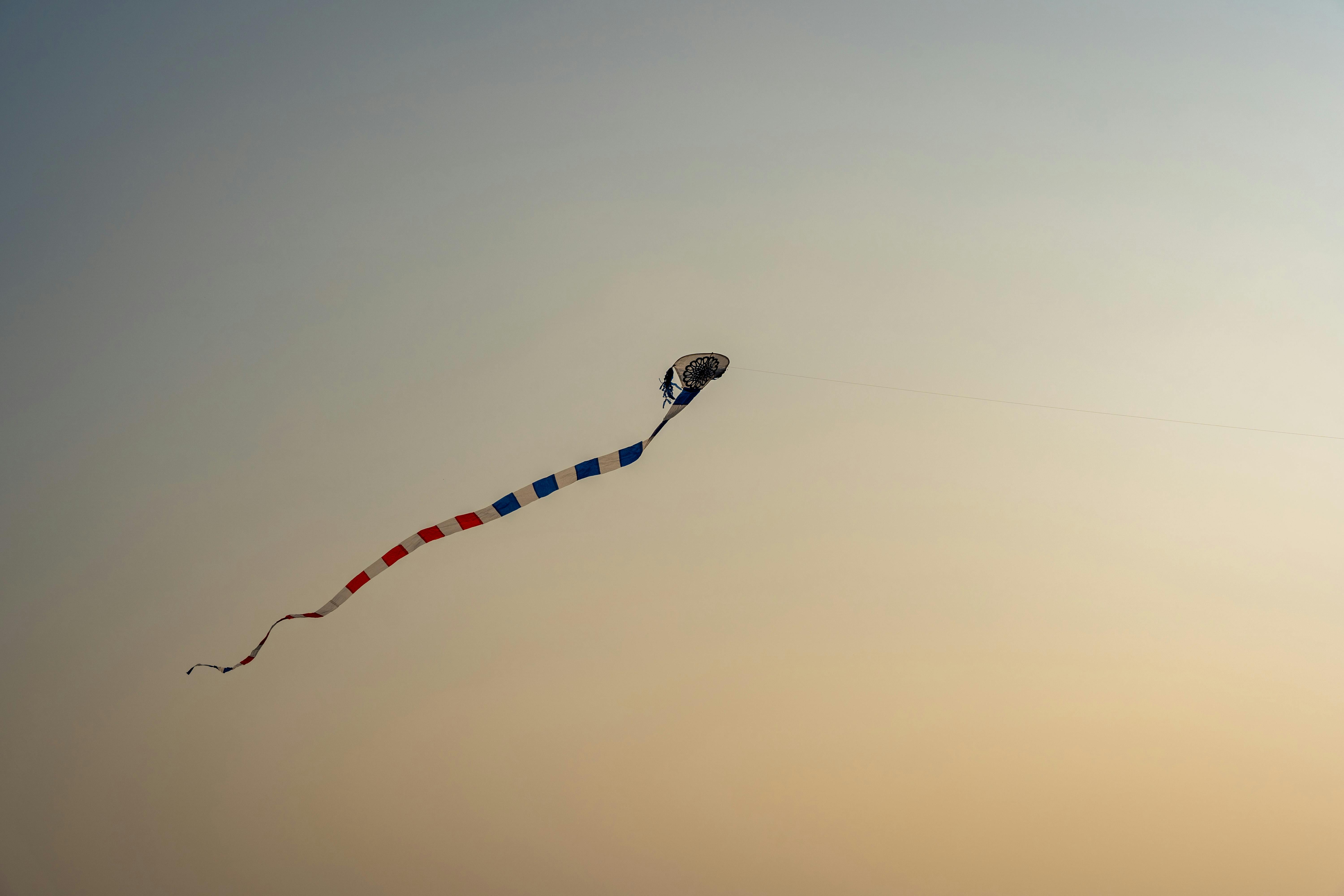 Pexels Photo 30857993