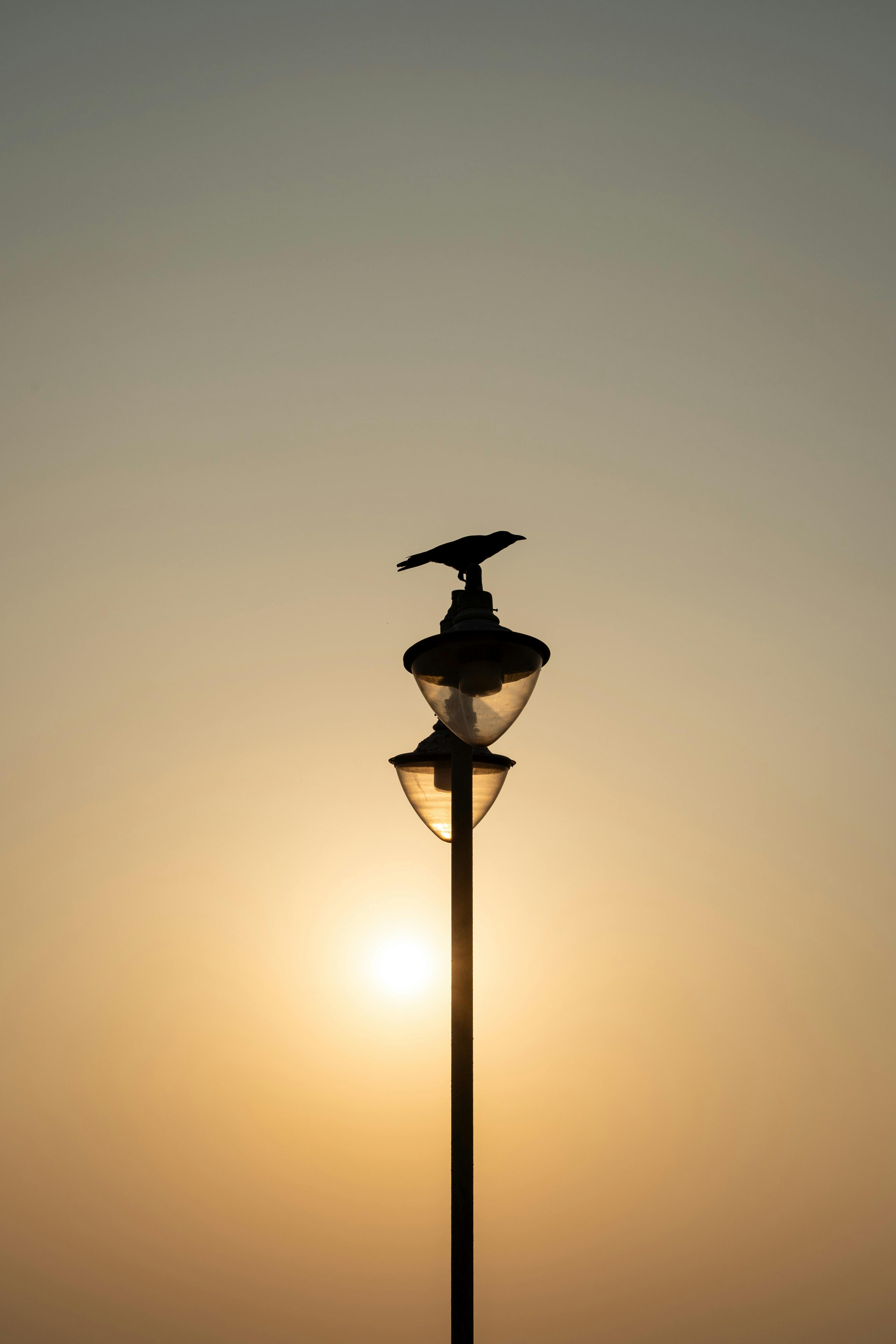 Cơ hội thăng tiến hấp dẫn trong nghề Dealer tại Sri Lanka – Mở ra tương lai rộng mở