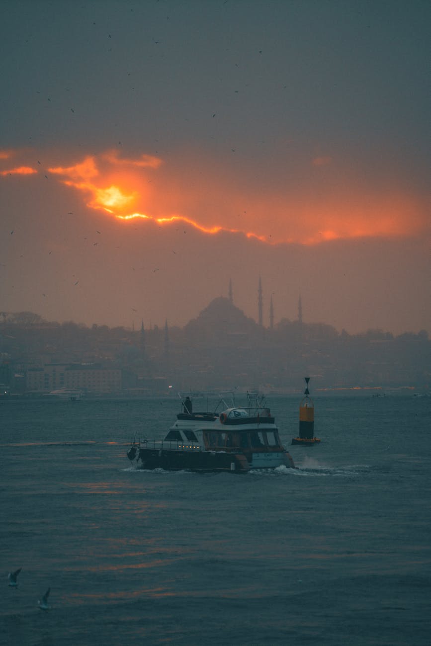People walking in busy street