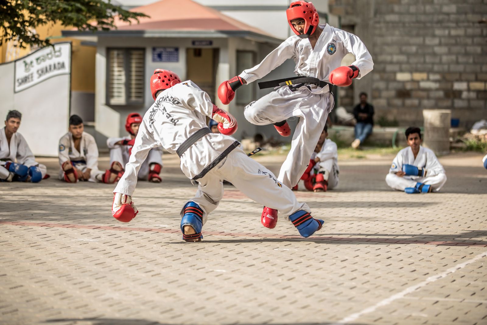 Taekwondo athletes in a sparring match