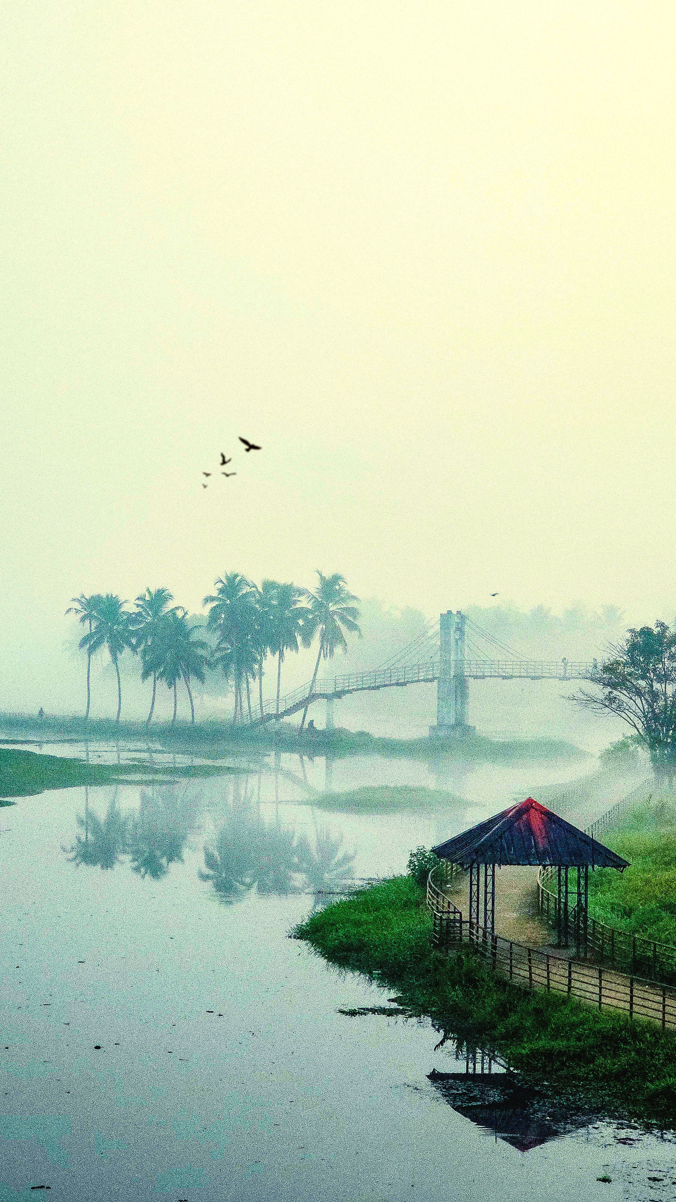 Serene river with a misty bridge, palm trees, and birds at dawn.