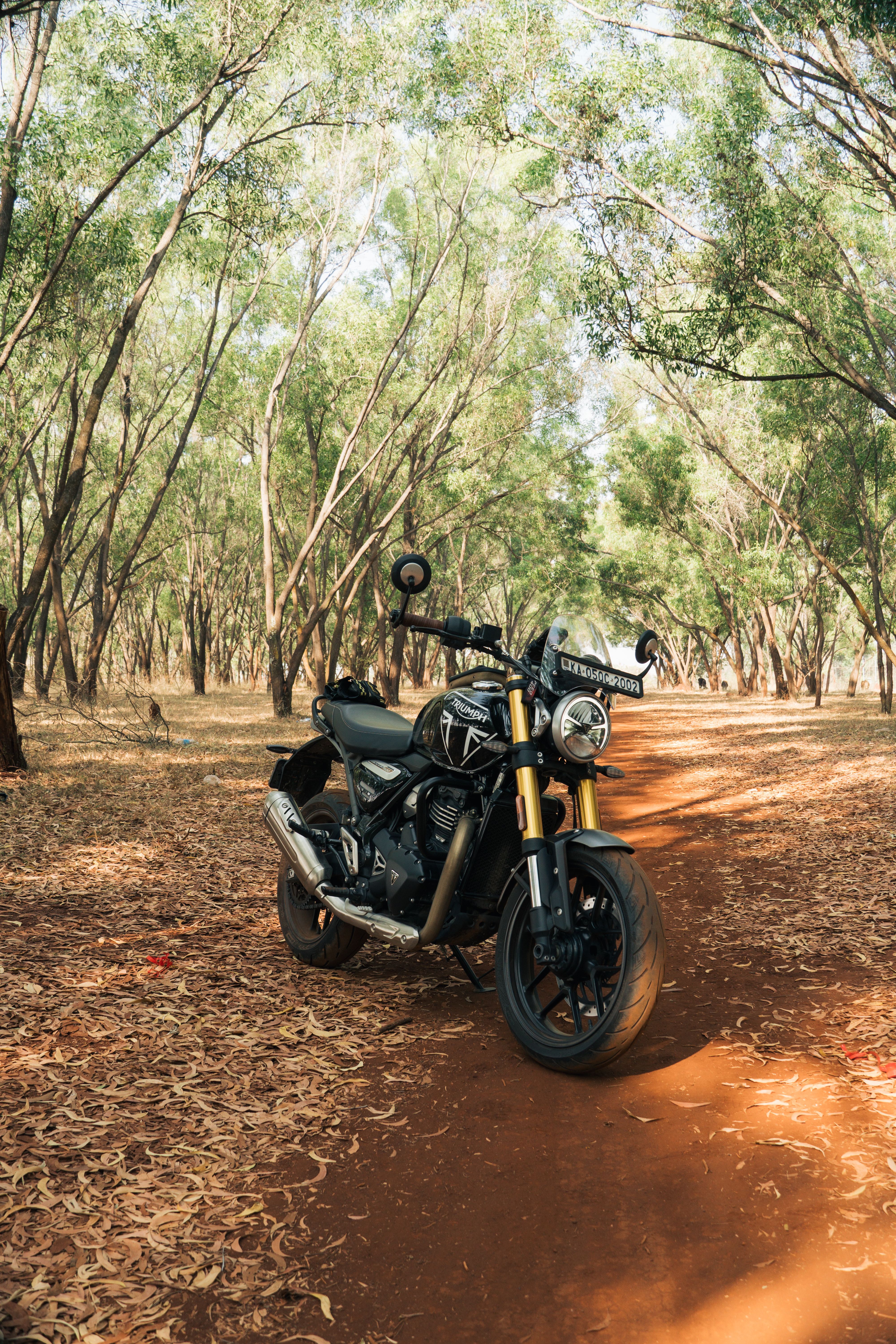 Adventurous Motorbike Ride Through Indian Forest Trail · Free Stock Photo