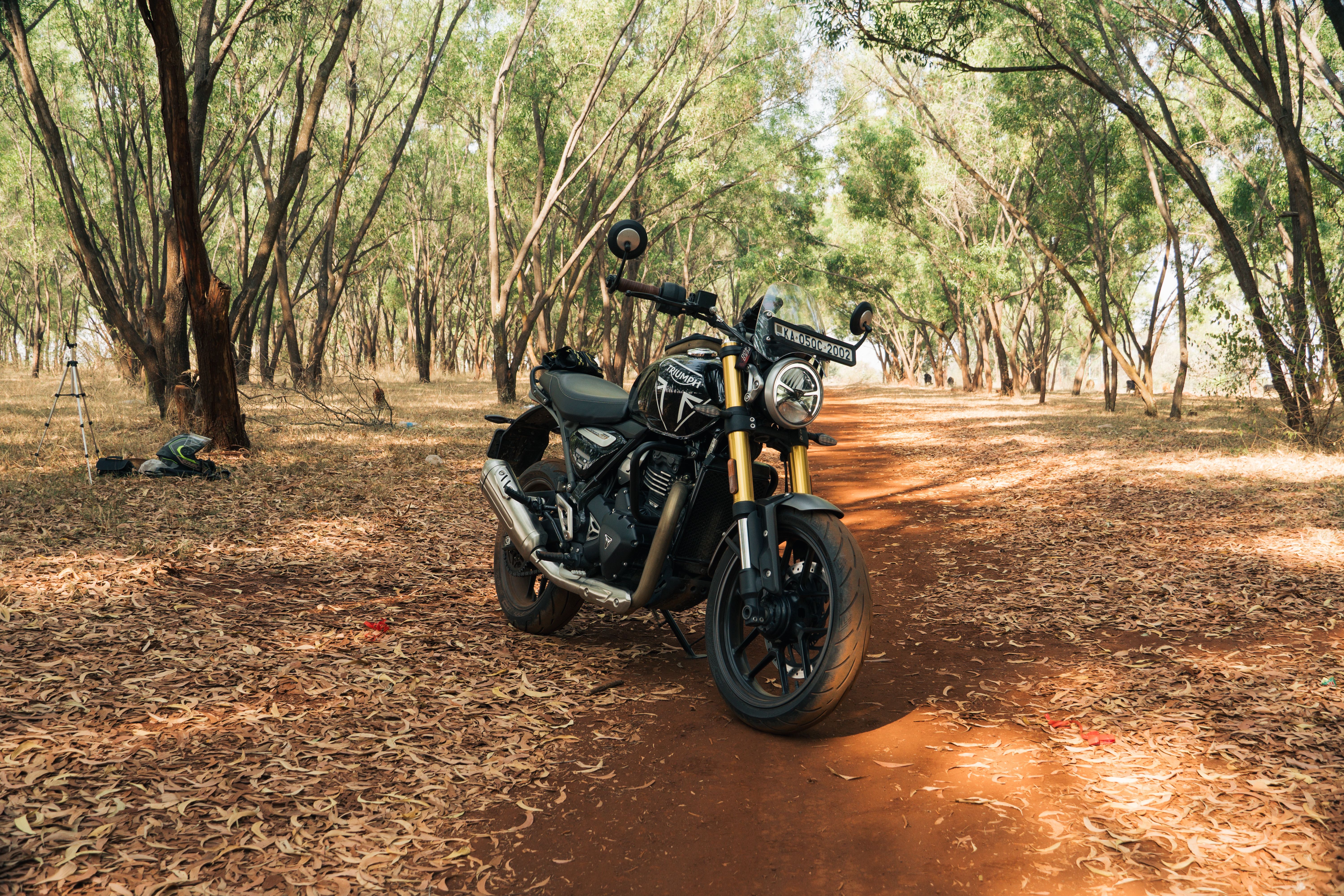 A classic motorcycle parked on a serene forest trail in Bengaluru, India. Perfect for adventure enthusiasts.