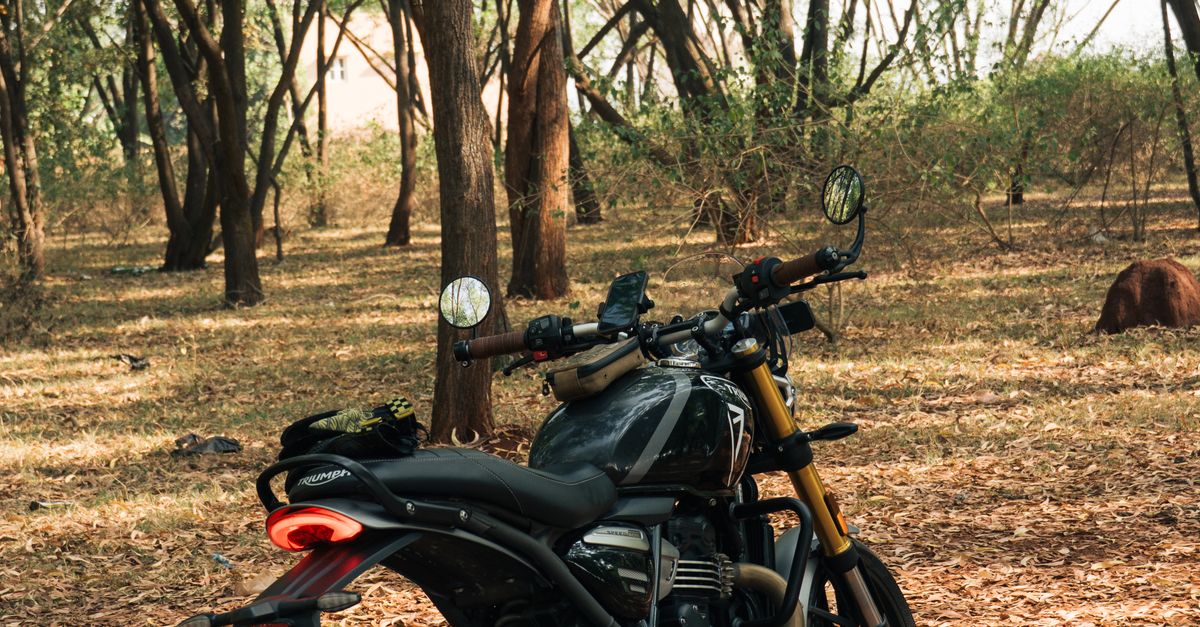 Motorcycle In Nature Adventure Motorcycle in a Serene Forest Setting · Free Stock Photo