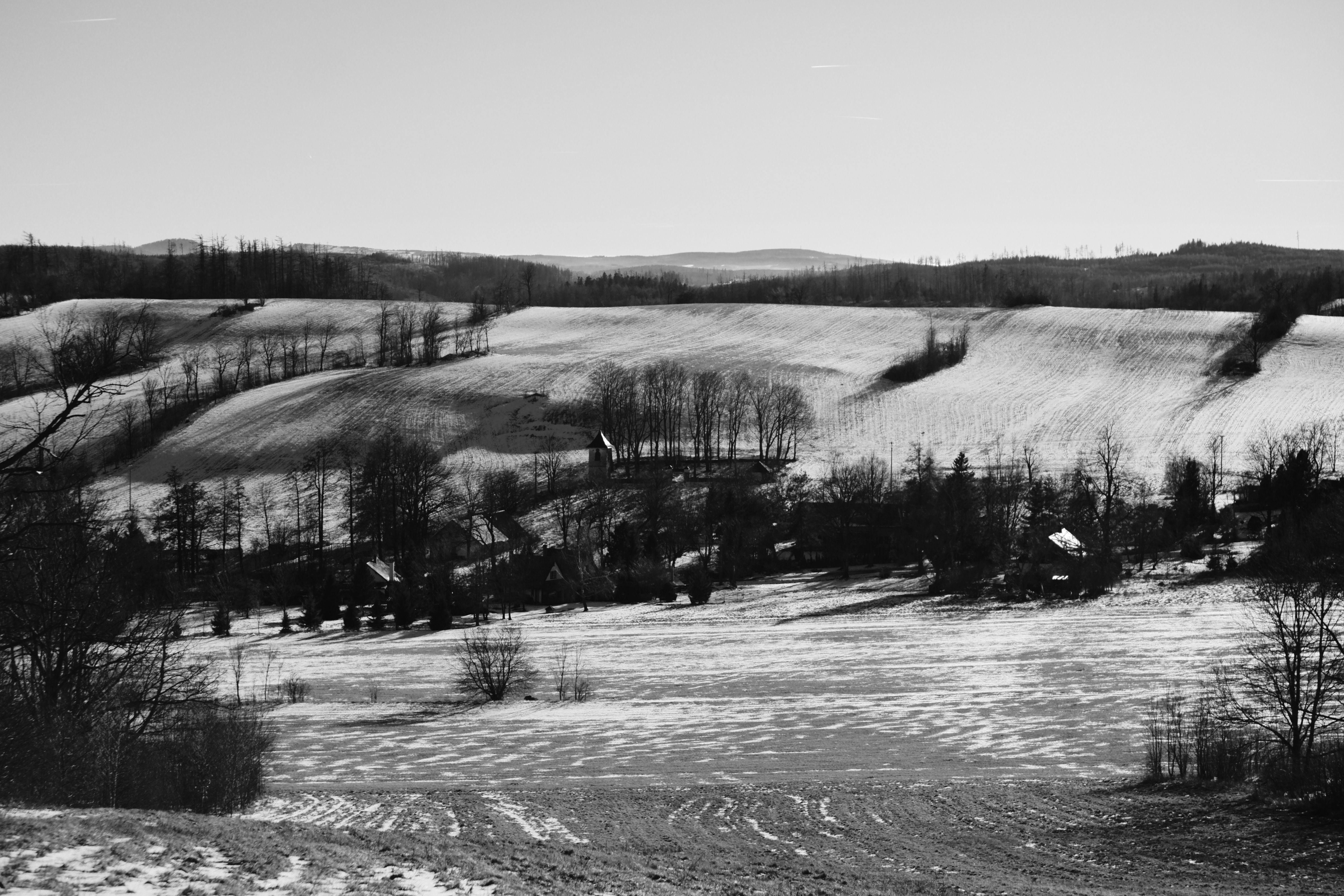 Black and White Winter Rural Landscape Scene · Free Stock Photo