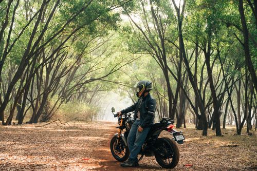Free A biker pauses on a forest trail, surrounded by lush green trees, capturing a moment of serenity and adventure. Stock Photo