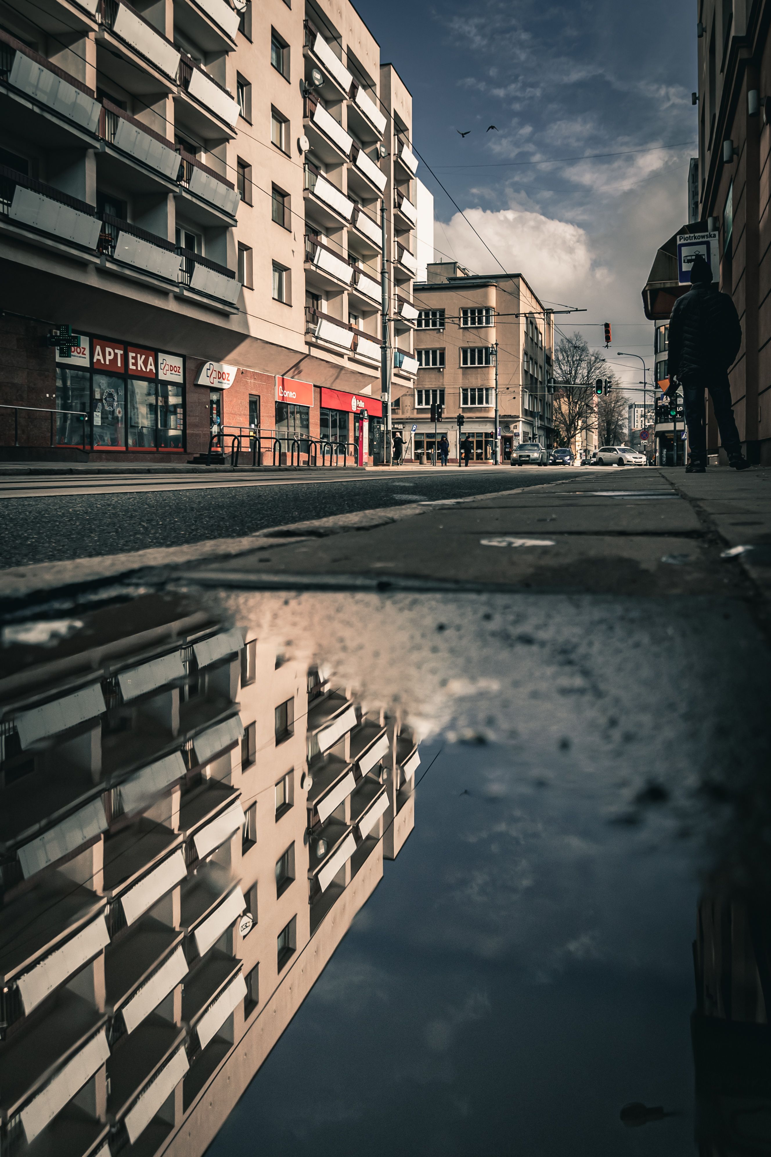 Serene Urban Reflection in a Puddle · Free Stock Photo