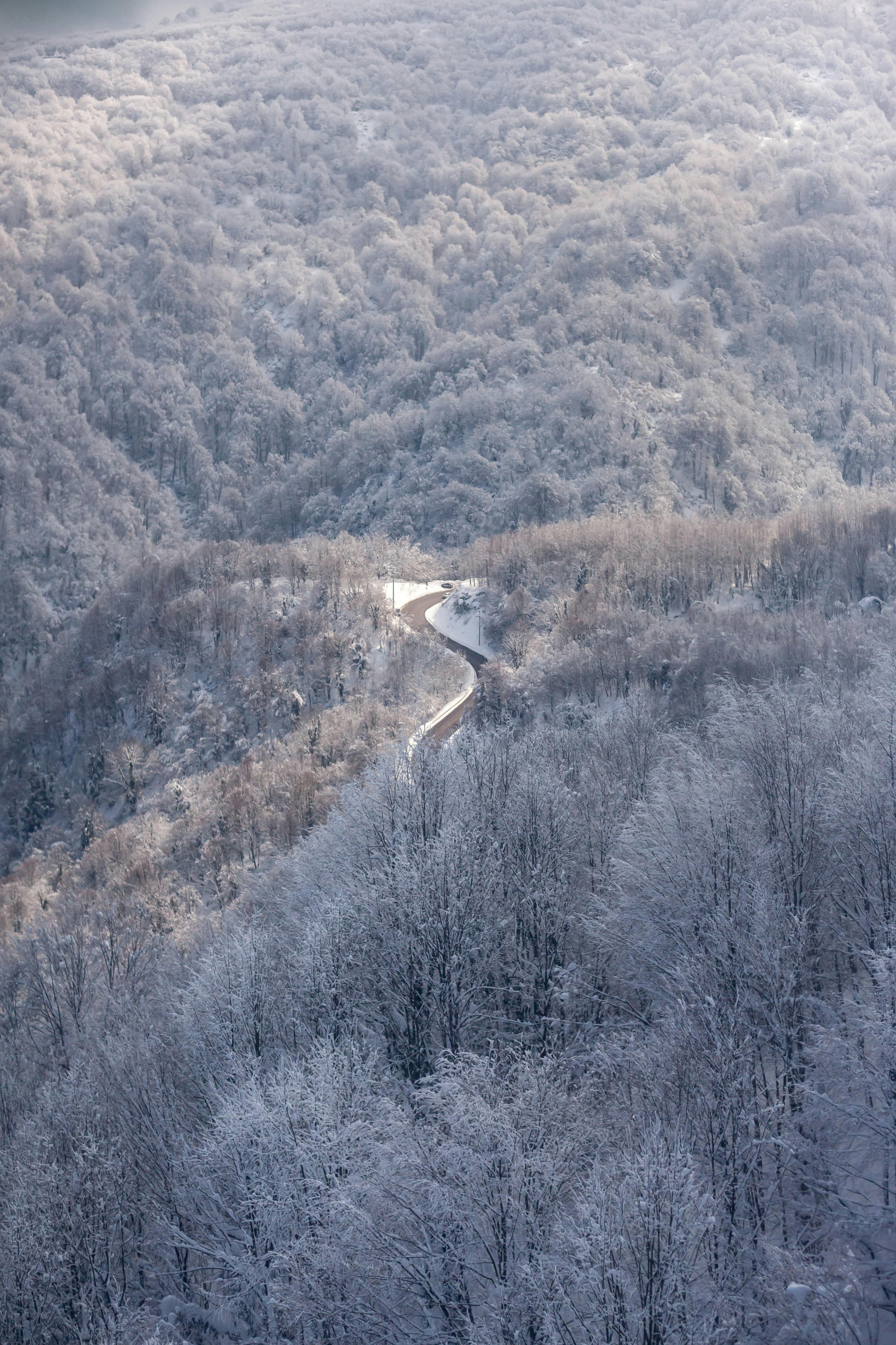 Scenic aerial photo of a winding road through a dense, snow-covered forest in winter.