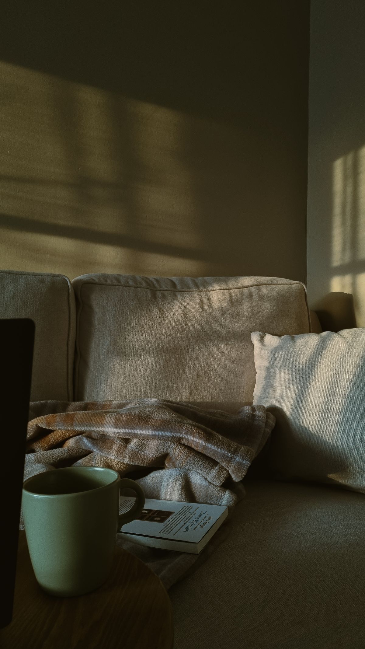 Cozy, sunlit living room interior in a new home
