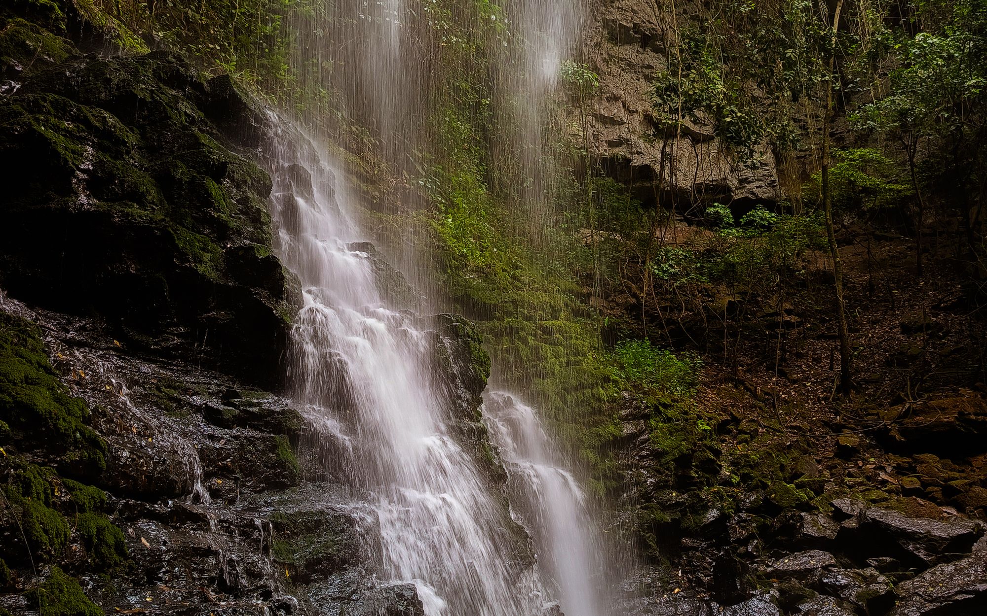 Waterfall in the Samegrelo forest