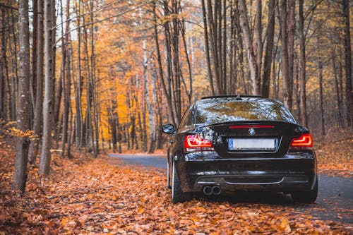 Black Car on Road With Fallen Leaves
