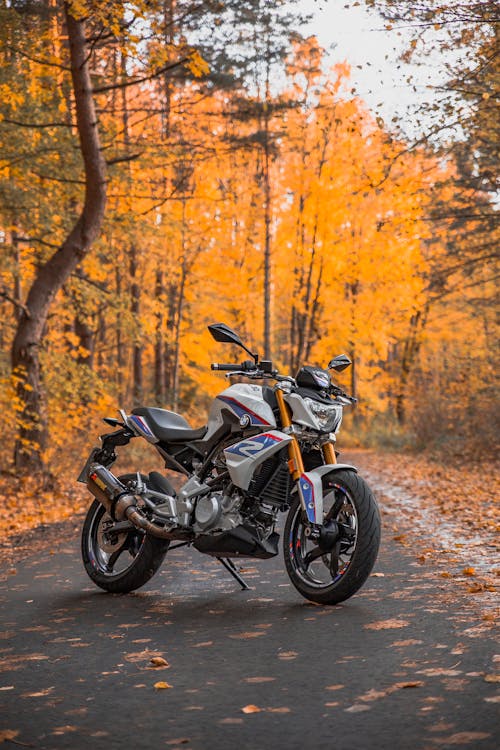 Kostenloses Stock Foto zu bmw, herbst, herbstlaub