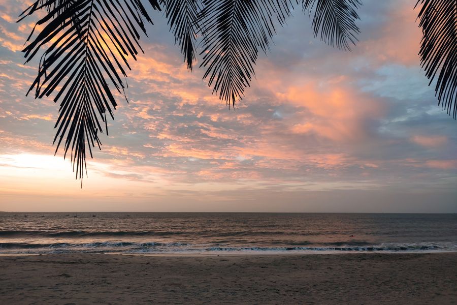 Peaceful beach sunset view with palm tree silhouette against colorful sky.