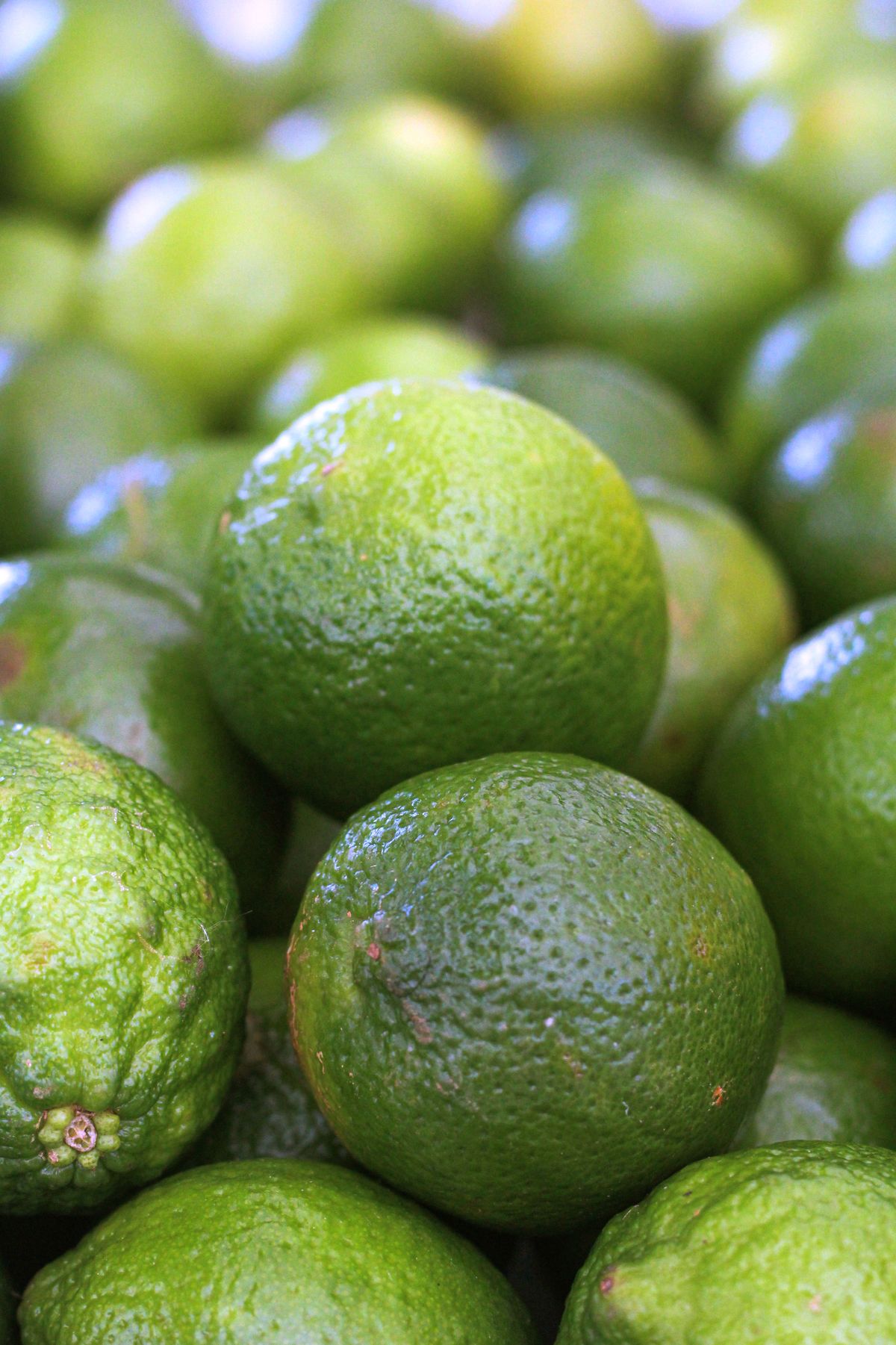 Limes — wholesale produce supplier nationwide