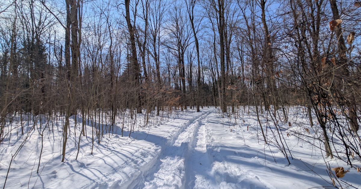 A serene snowy path winding through a winter forest with clear blue skies.