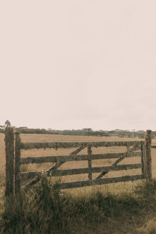 Free A rustic wooden gate stands in a serene countryside field under a soft sky. Stock Photo