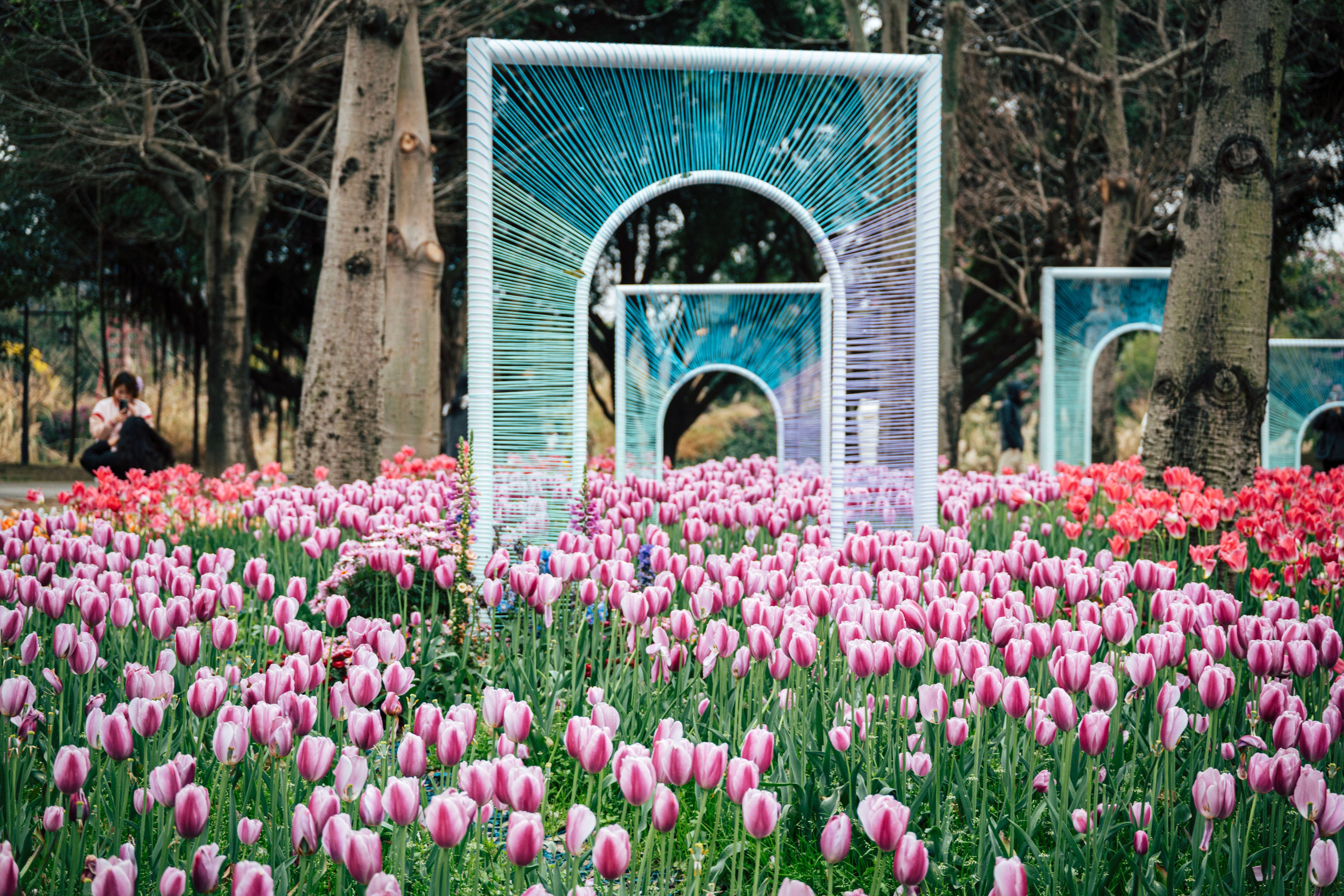 Floral installation improves curb appeal and adds seasonal color. - commercial grounds maintenance