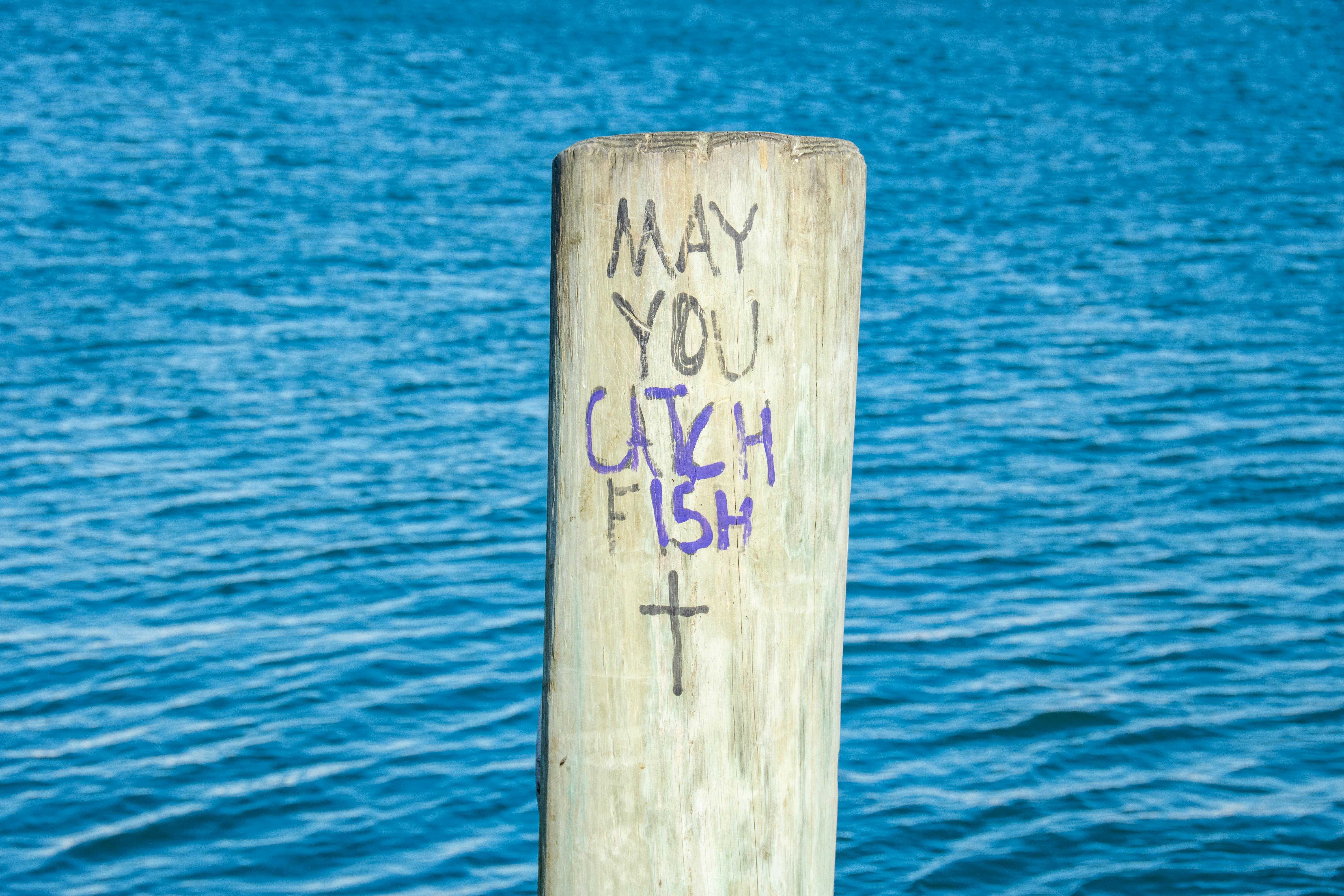 Service orders tackle post maintenance, repair issues — Photo by Beth Fitzpatrick on Pexels