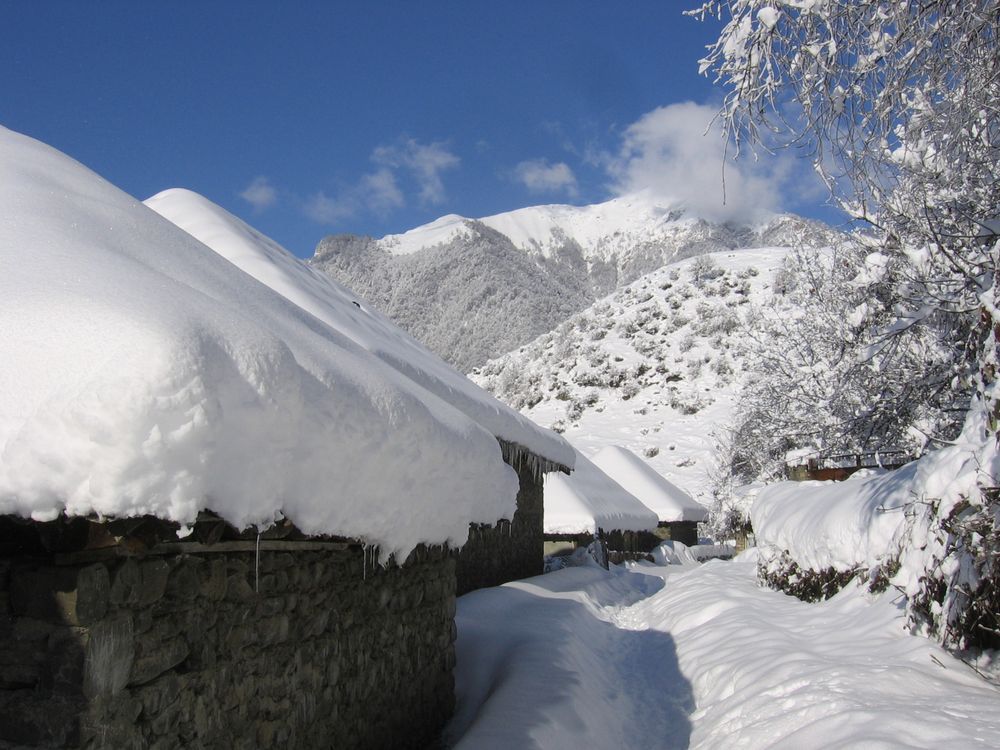 Sfondo Natalizio 3x2 M – Paesaggio Invernale Con Neve, Alberi E Arco, Perfetto Per Foto Di Famiglia E Ritratti
