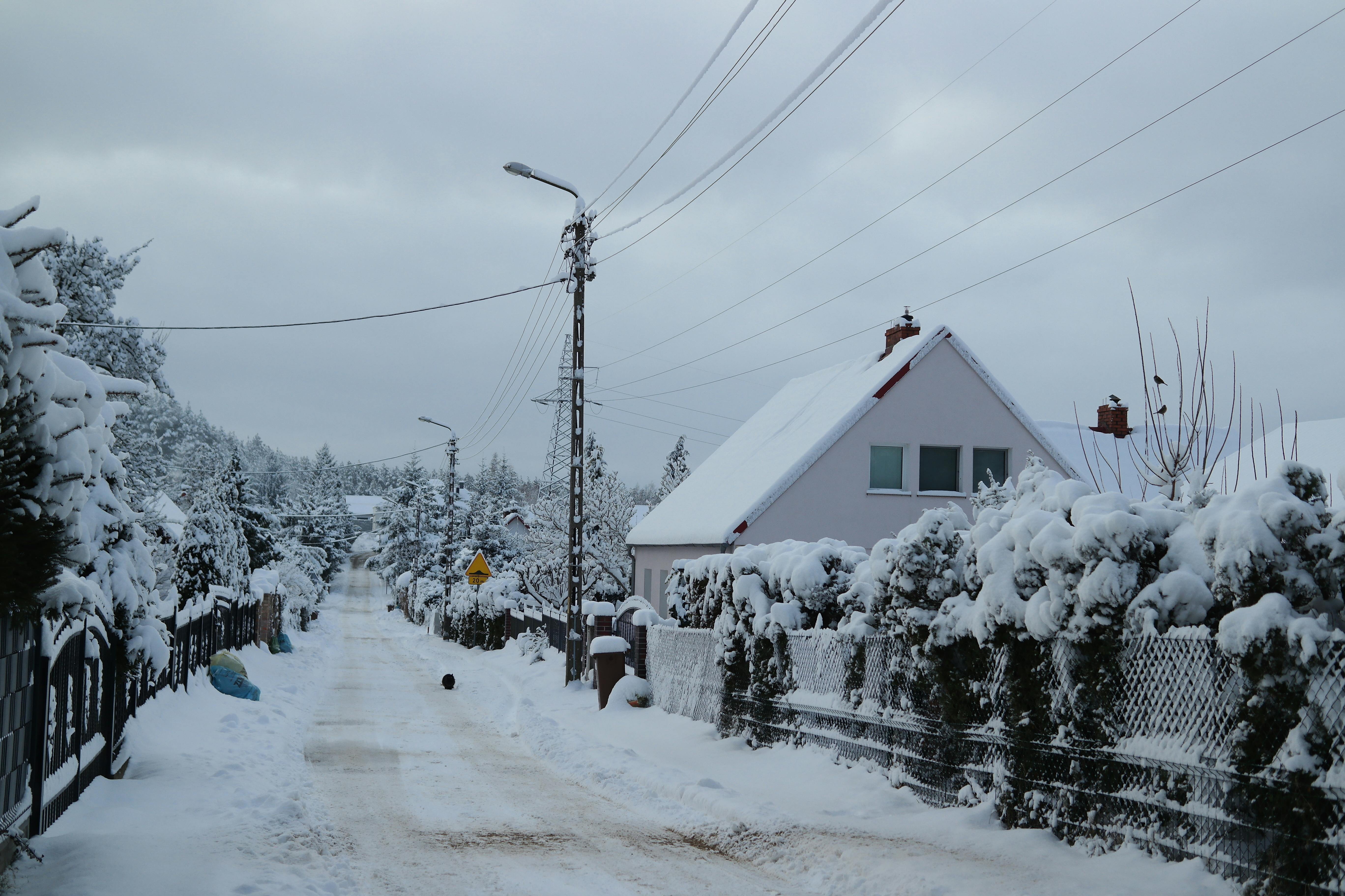 A snowy residential street in Castle Rock, CO, with houses and snow-covered trees - furnace installation castle rock co