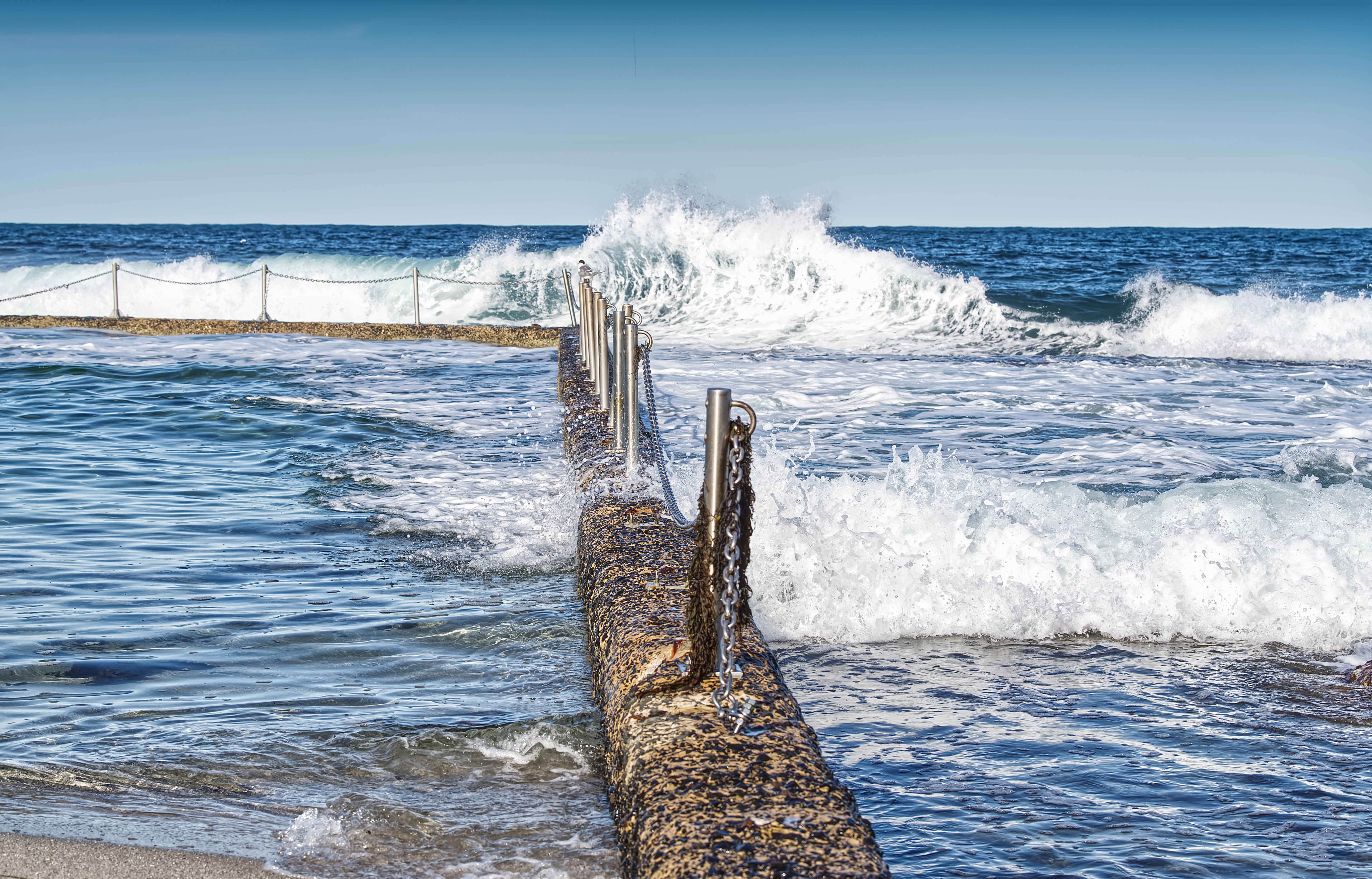 pool builders sydney