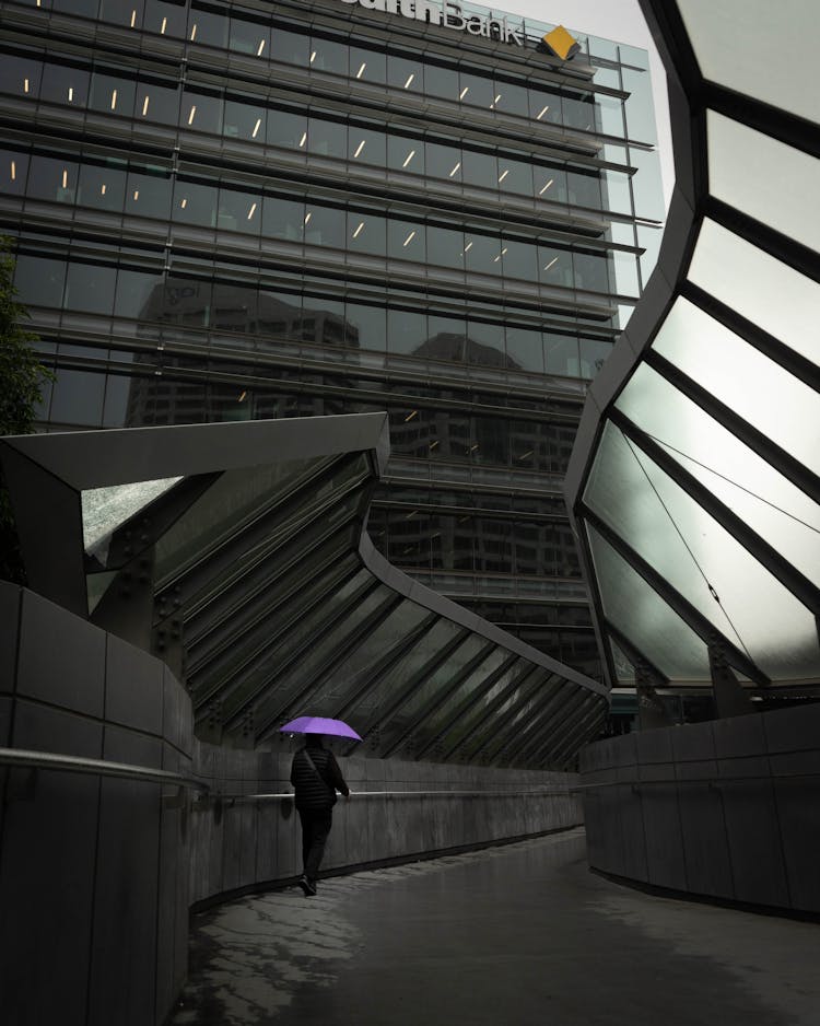 Person Holding Purple Umbrella