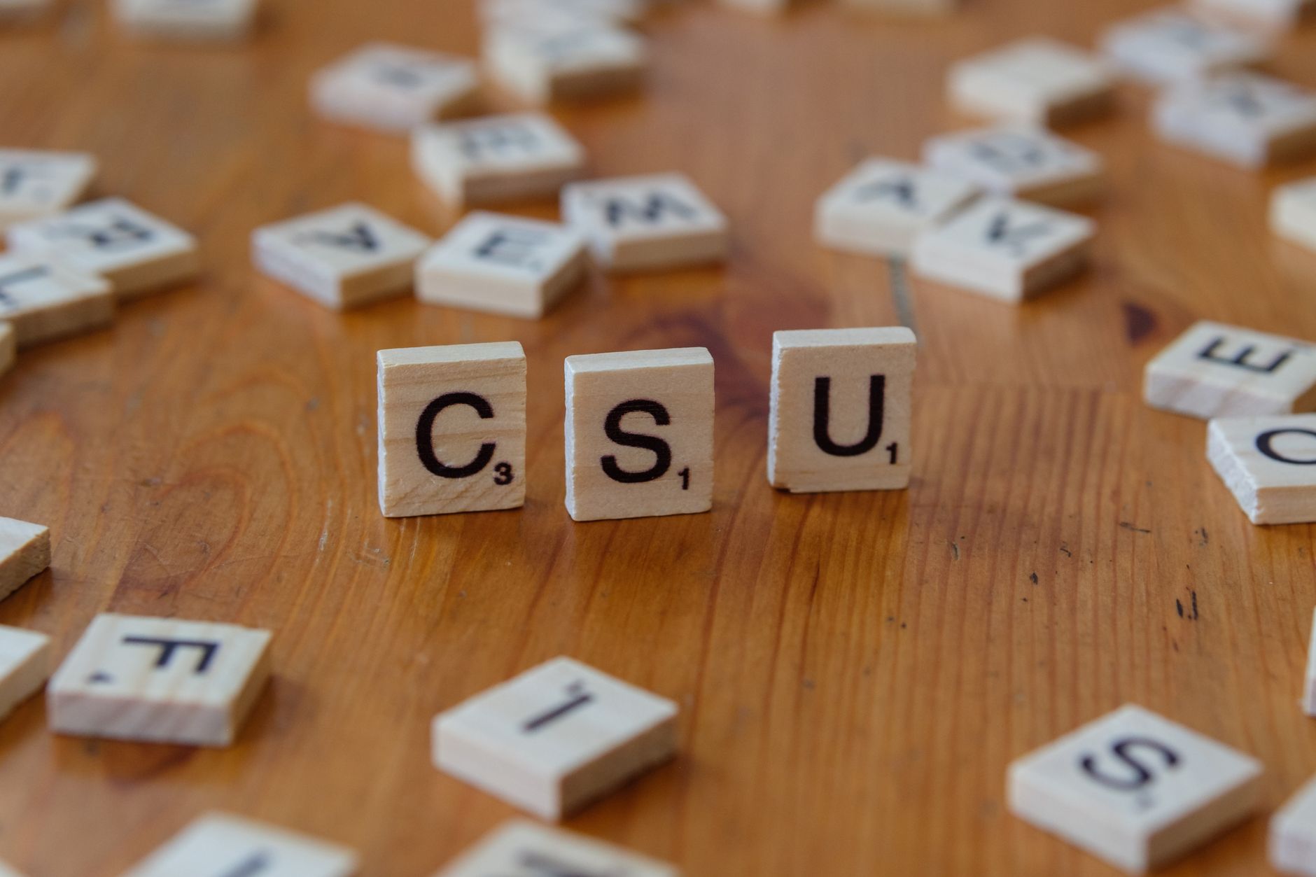 CSU Politehnica Timișoara primește vizita CSM CSU Târgoviște în etapa a 10-a a Ligii Naționale