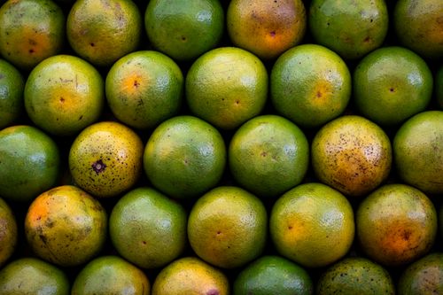 Free A vibrant arrangement of ripe citrus fruits showcasing fresh green and orange hues. Stock Photo