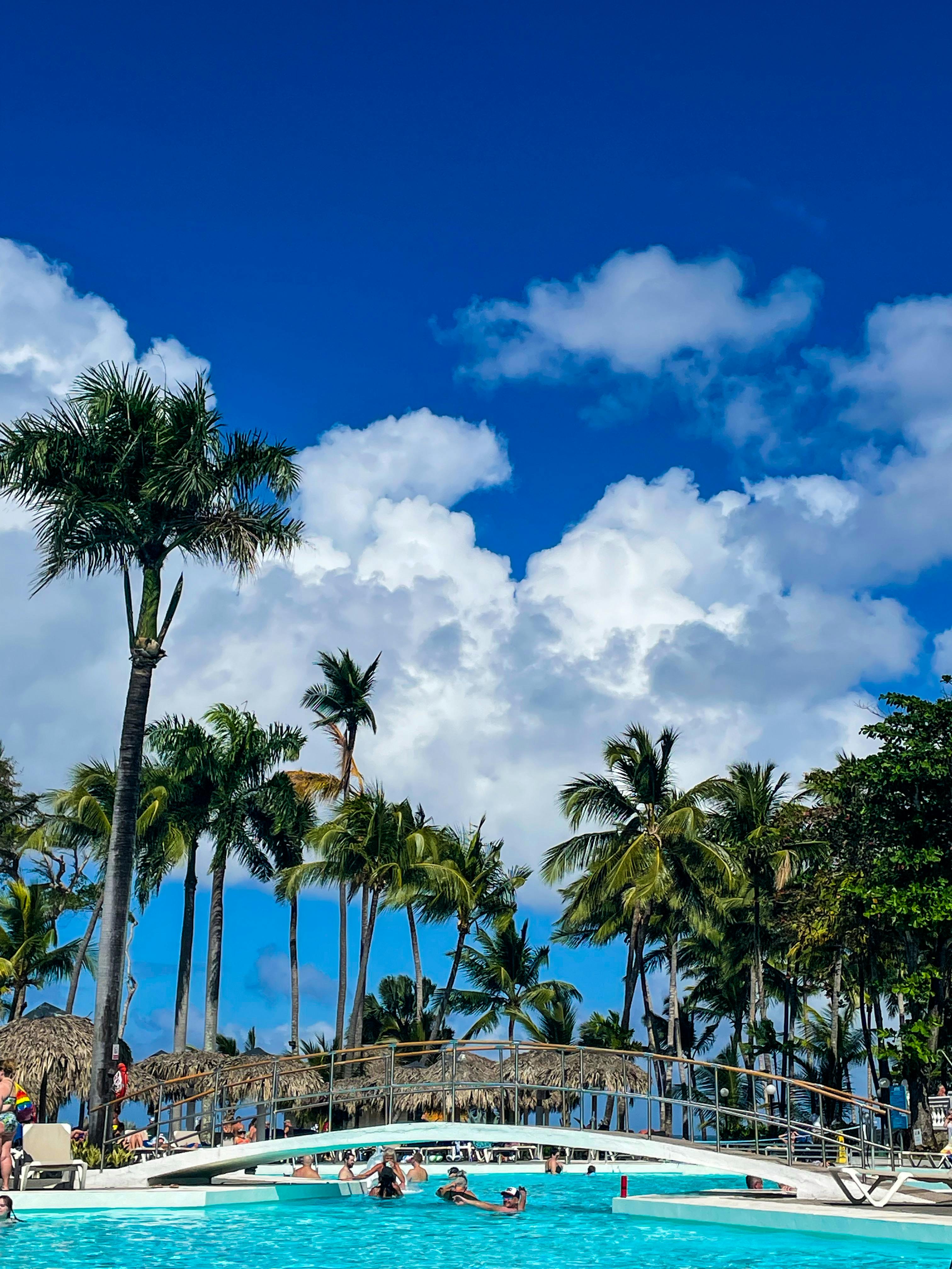 tropical resort poolside under blue sky